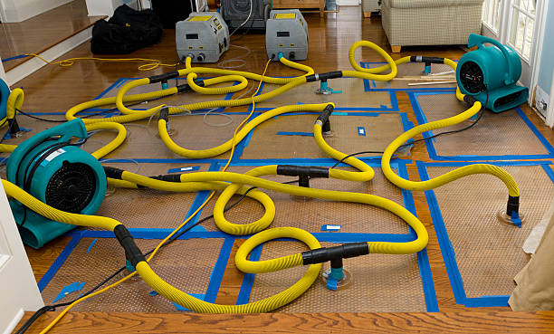 Professional Basement Flood Cleanup technician working in Hacienda Heights, CA